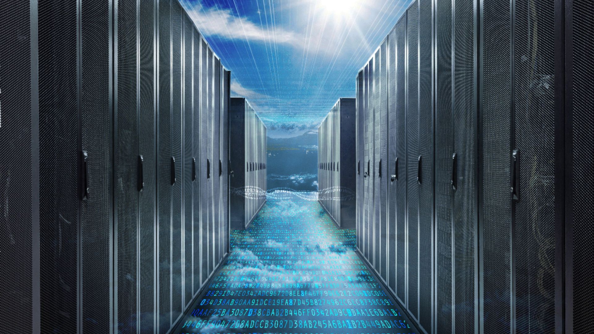 Header Veeam Business Partner